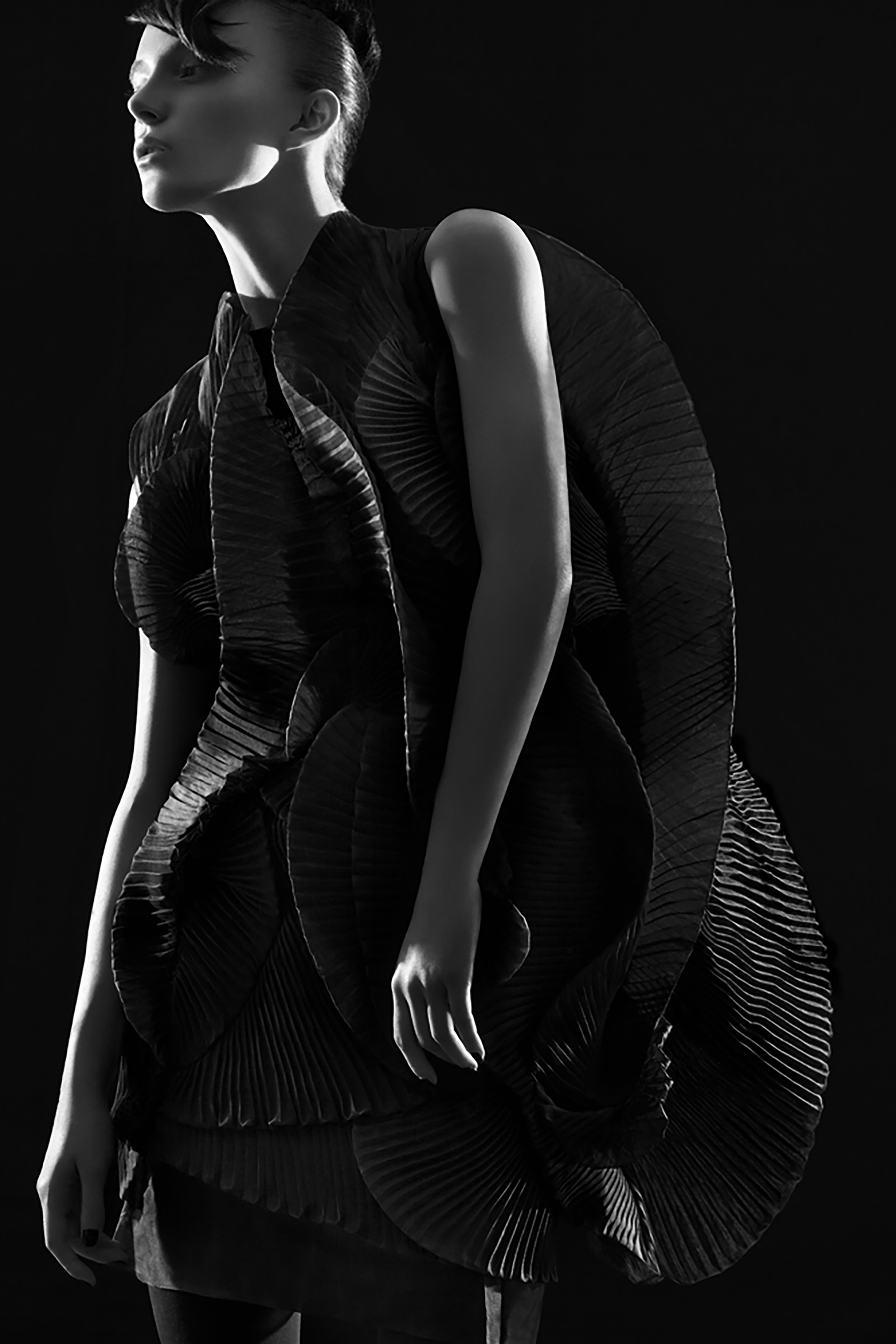 HYBRIDS - FASHION